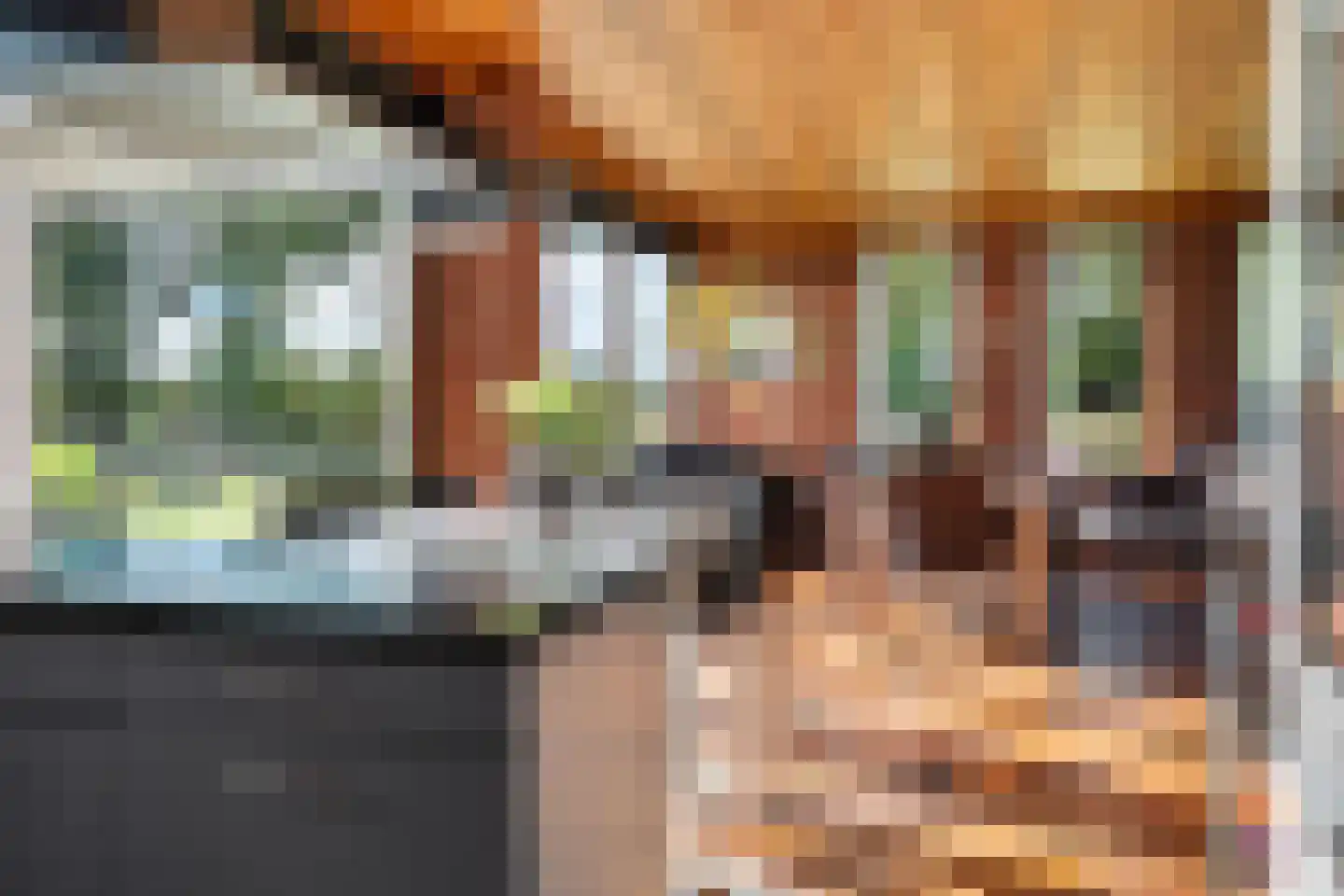 Willemstad 1 Appelscha thumbnail 16