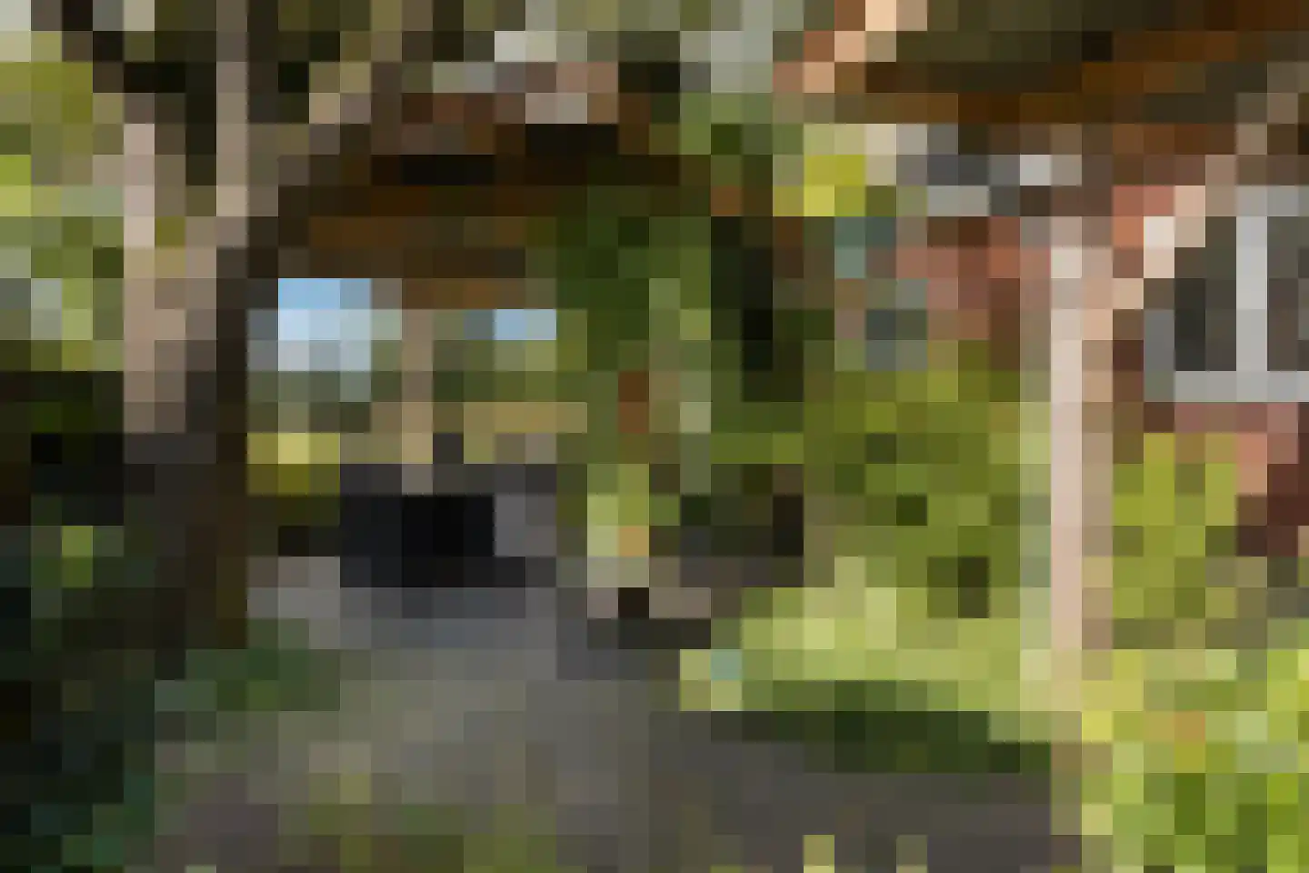 Willemstad 1 Appelscha thumbnail 34