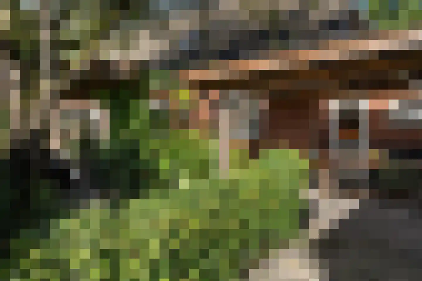 Willemstad 1 Appelscha thumbnail 35