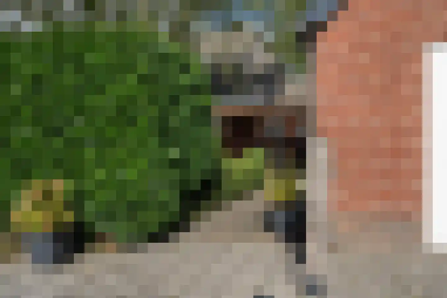 Willemstad 1 Appelscha thumbnail 37