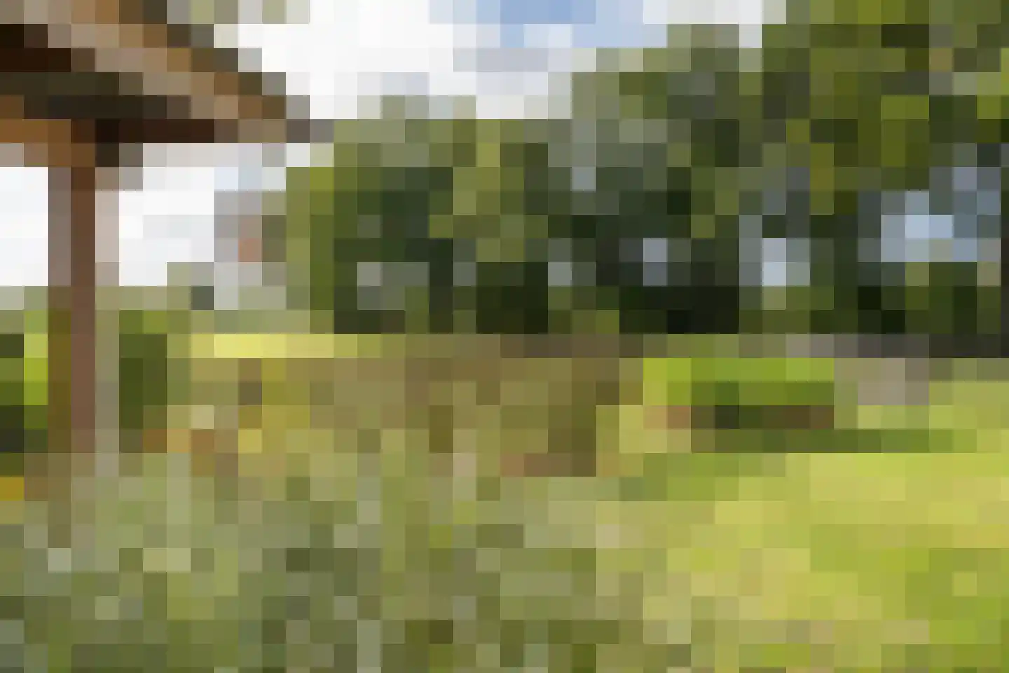 Willemstad 1 Appelscha thumbnail 38