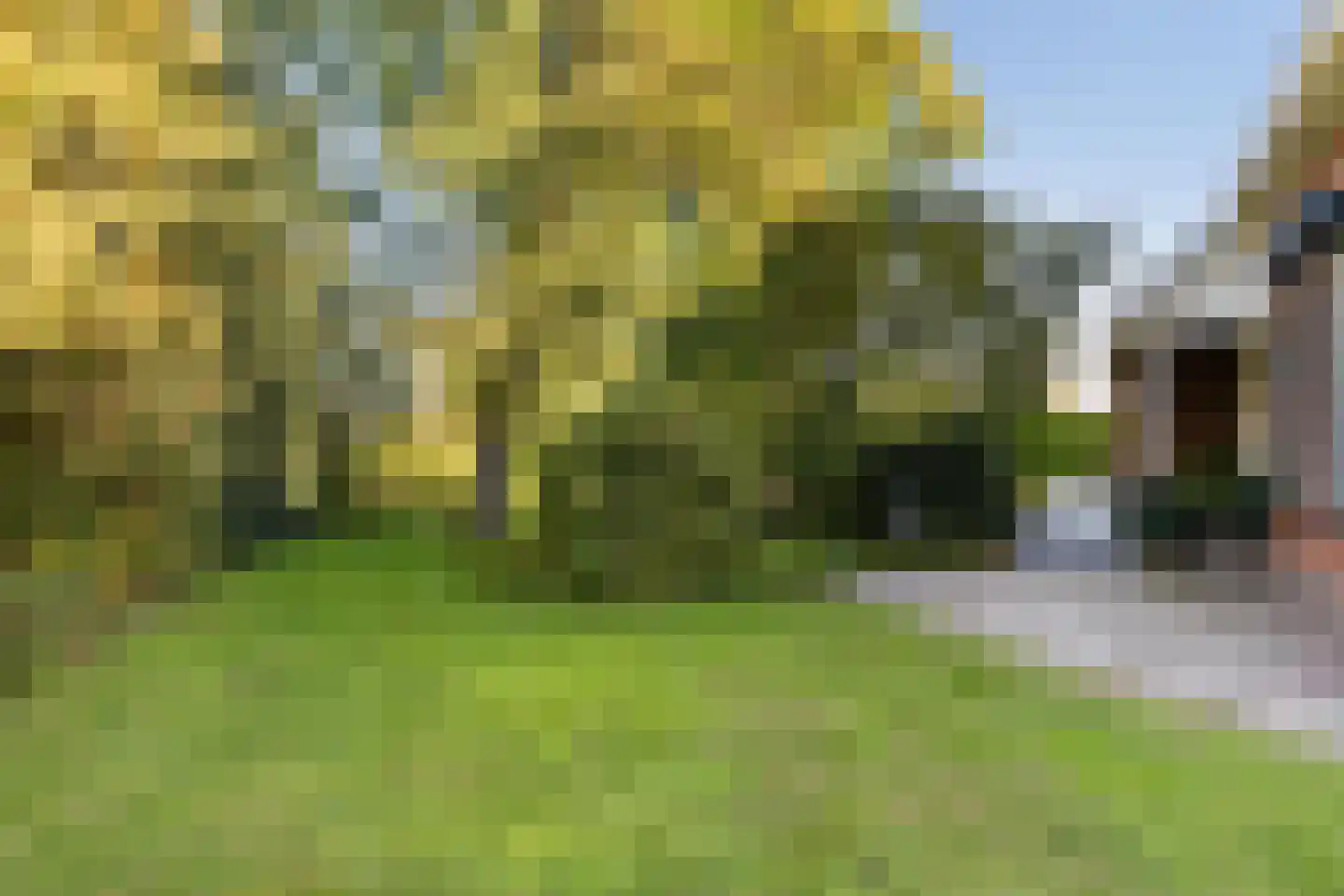 Willemstad 1 Appelscha thumbnail 40