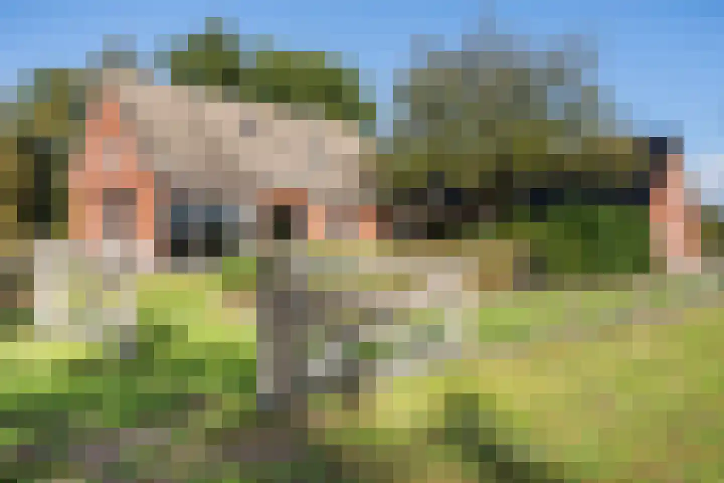 Willemstad 1 Appelscha thumbnail 44
