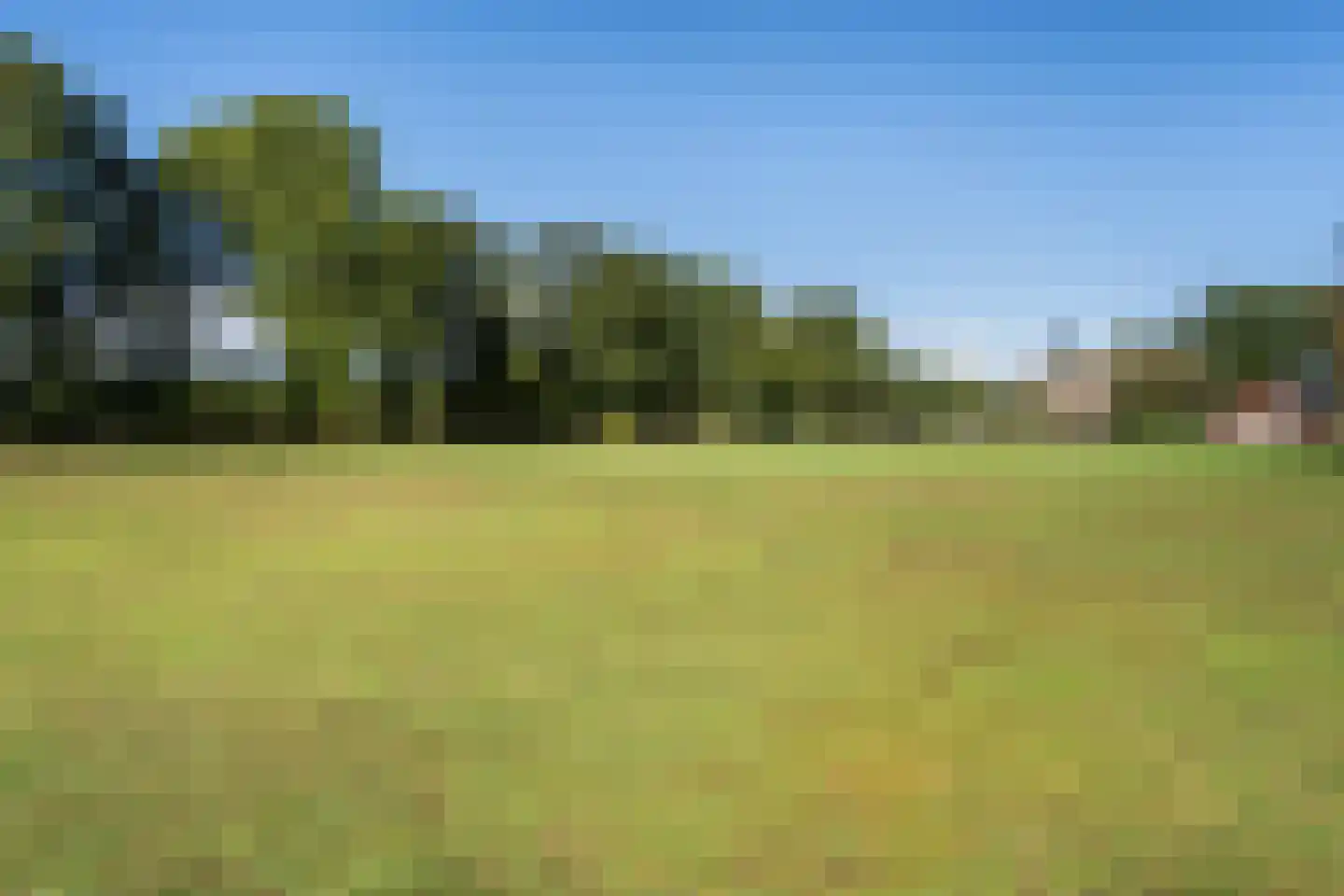 Willemstad 1 Appelscha thumbnail 48