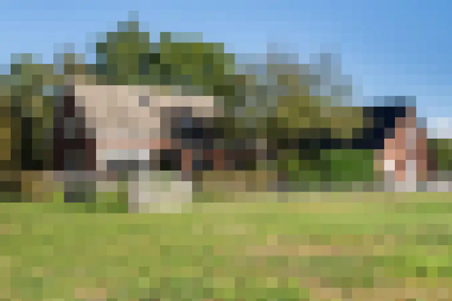 Willemstad 1 Appelscha thumbnail 49