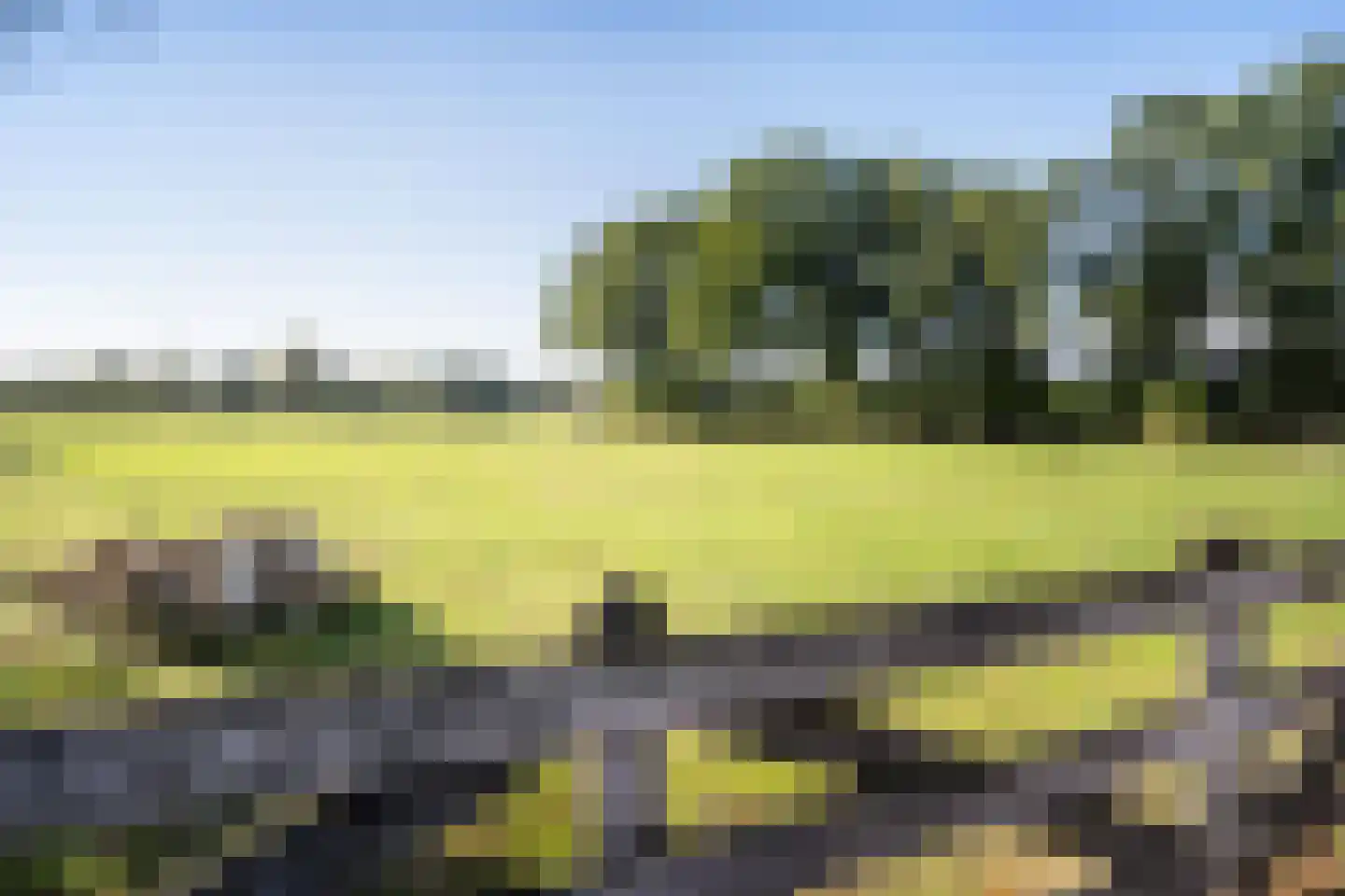 Willemstad 1 Appelscha thumbnail 51