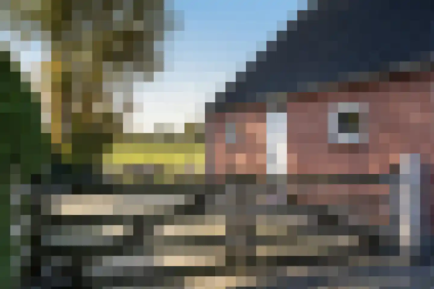 Willemstad 1 Appelscha thumbnail 53