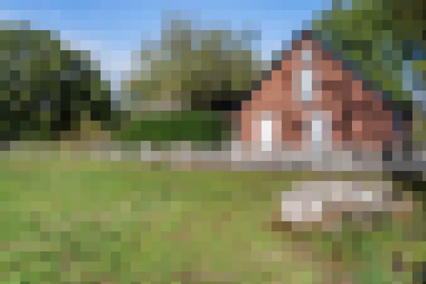Willemstad 1 Appelscha thumbnail 54