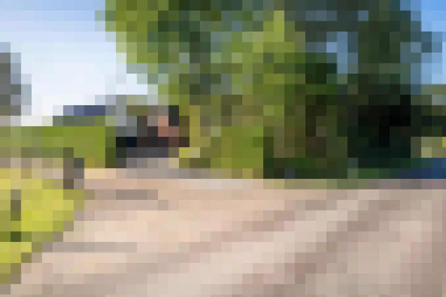 Willemstad 1 Appelscha thumbnail 58