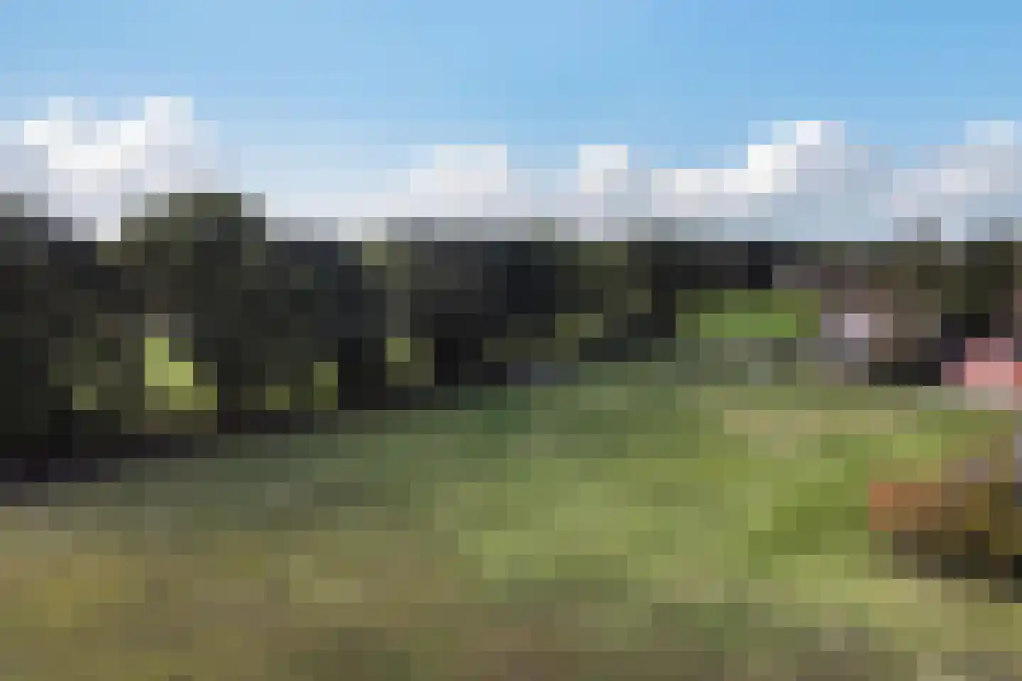 Willemstad 1 Appelscha thumbnail 60