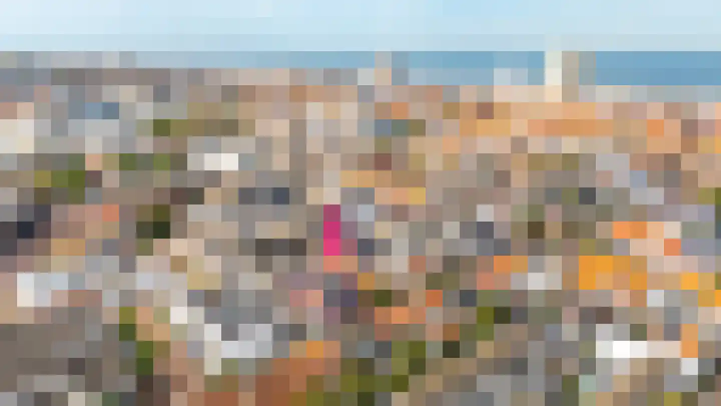 Willemstraat 10 a Zandvoort thumbnail 55