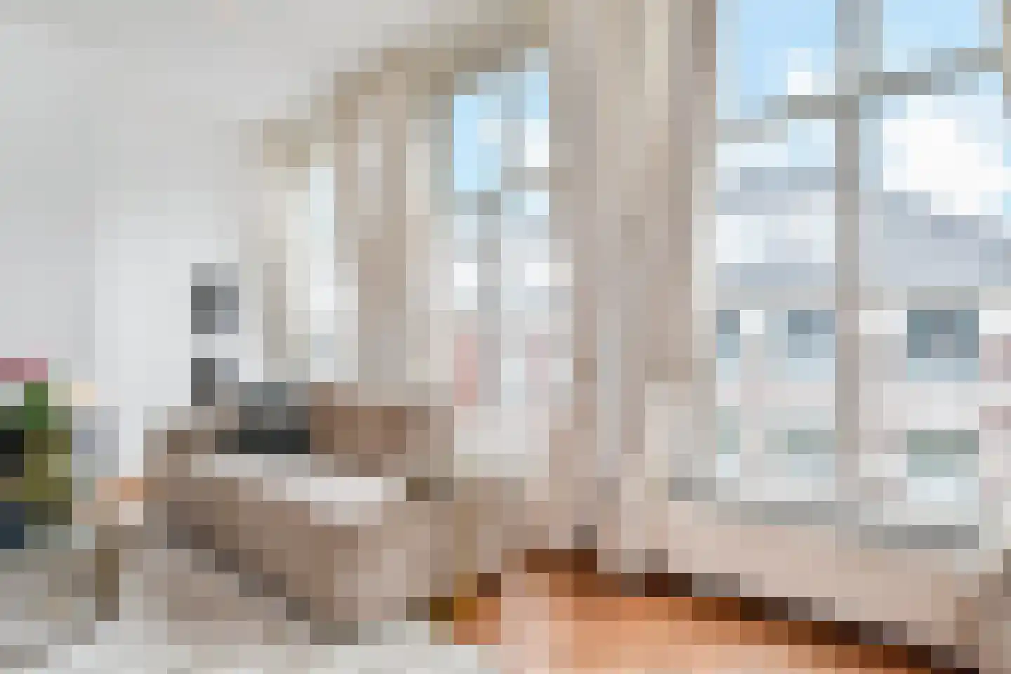 Willemstraat 100 Den Haag thumbnail 24