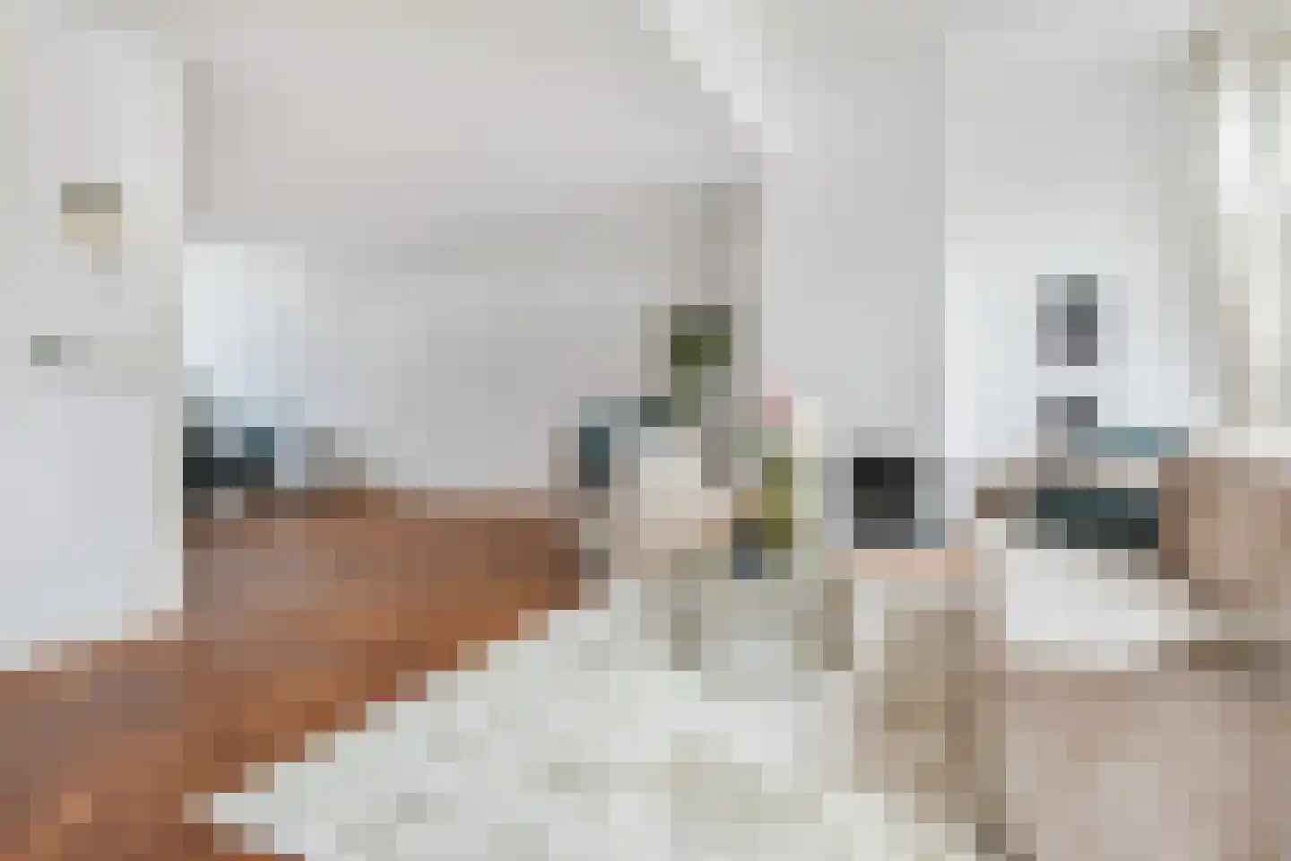 Willemstraat 100 Den Haag thumbnail 25