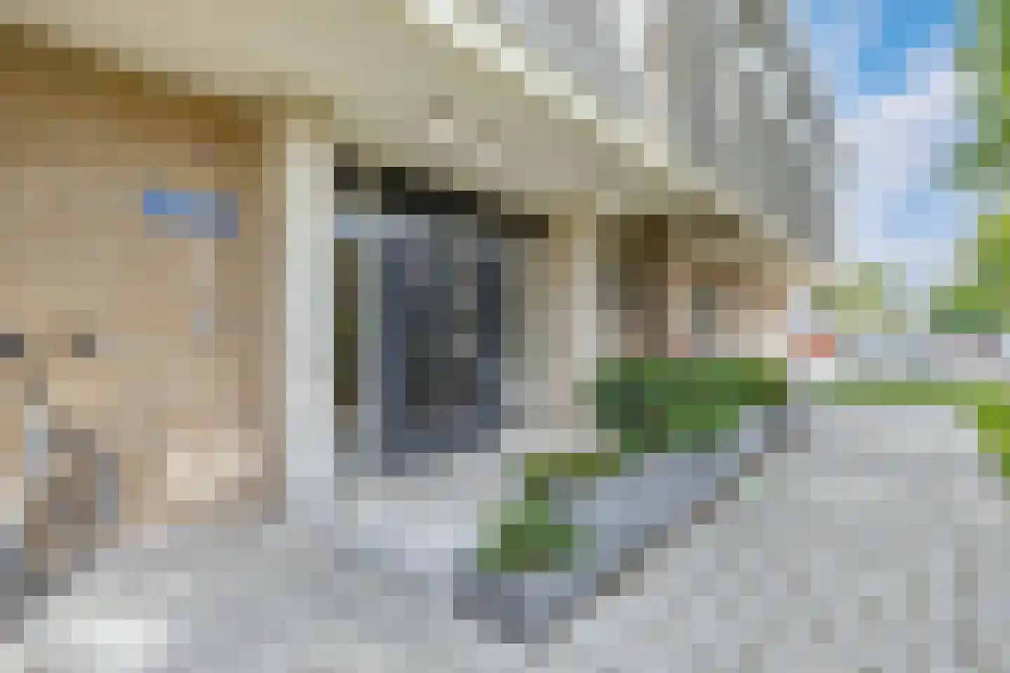 Willemstraat 106 Zoetermeer thumbnail 6