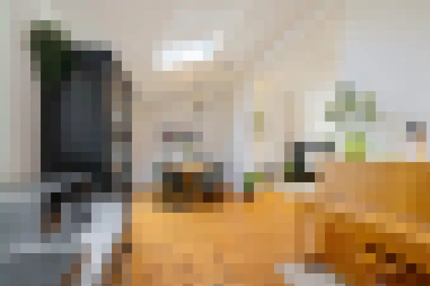 Willemstraat 12 Groningen thumbnail 20