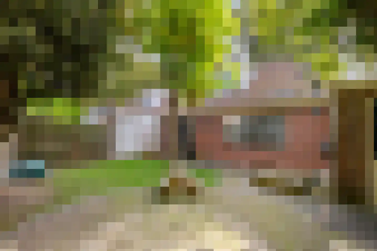 Willemstraat 12 Groningen thumbnail 27