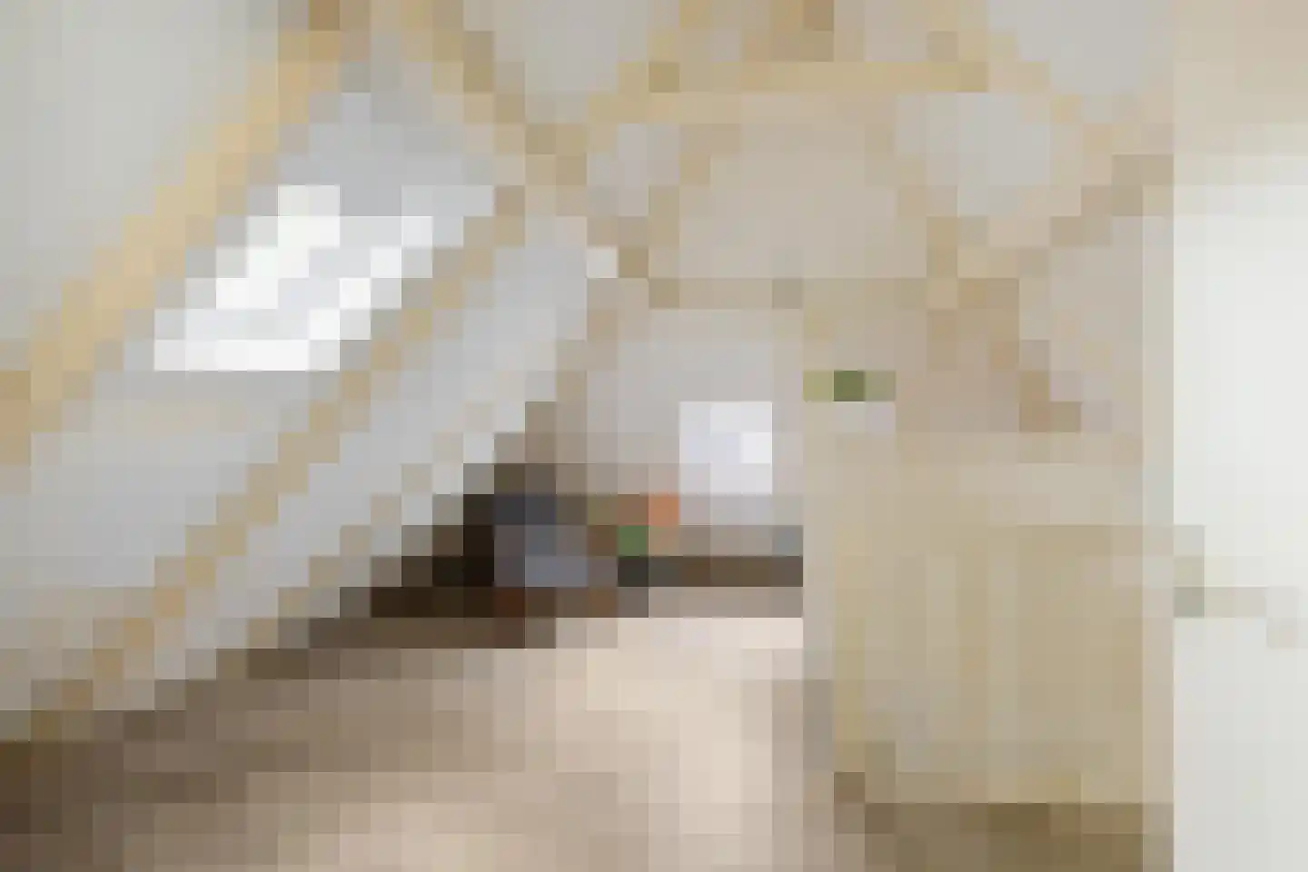 Willemstraat 12 Groningen thumbnail 42