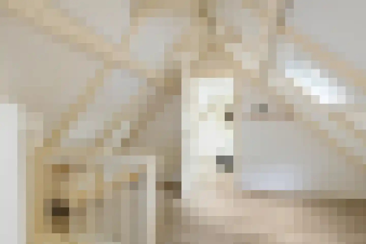 Willemstraat 12 Groningen thumbnail 43