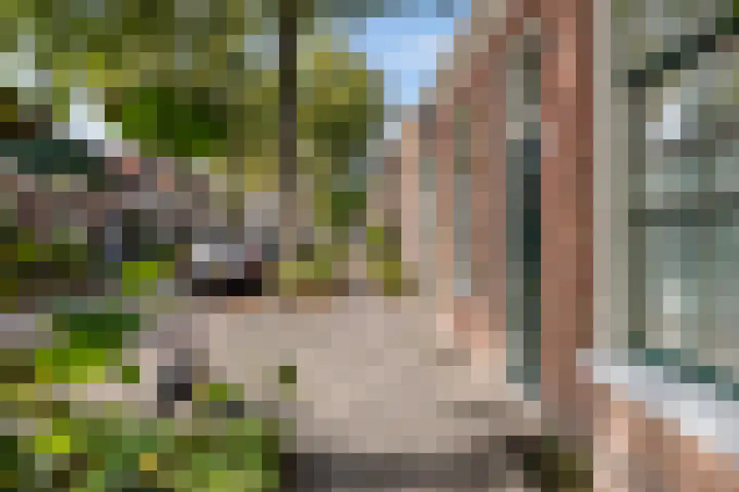 Willemstraat 12 Groningen thumbnail 7
