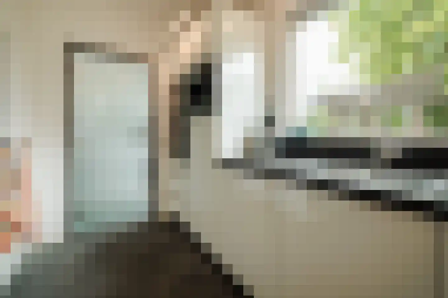 Willemstraat 12 Son en Breugel thumbnail 19