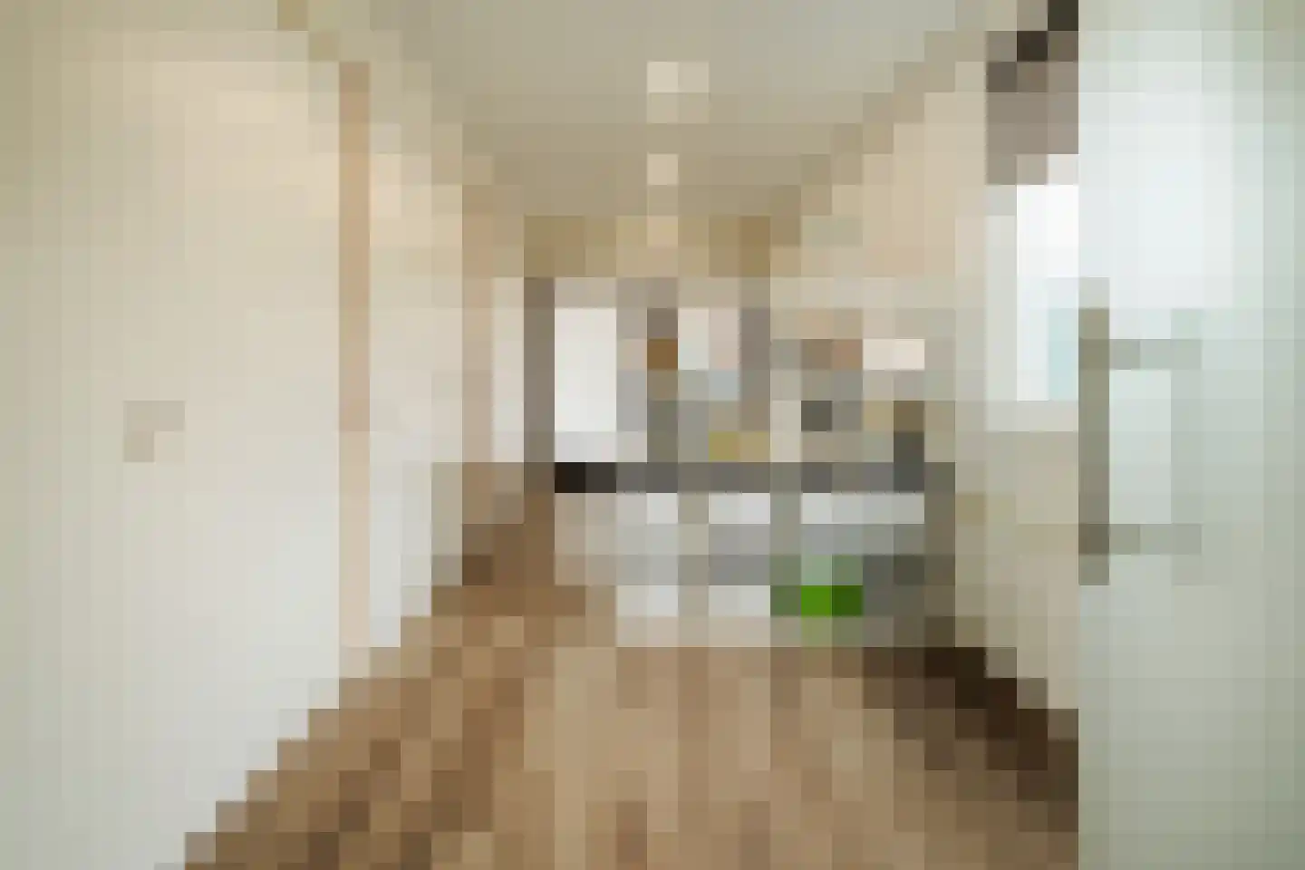 Willemstraat 12 Son en Breugel thumbnail 22