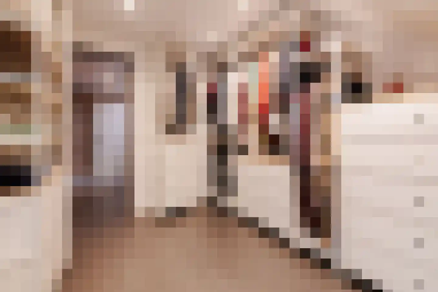 Willemstraat 12 Son en Breugel thumbnail 31