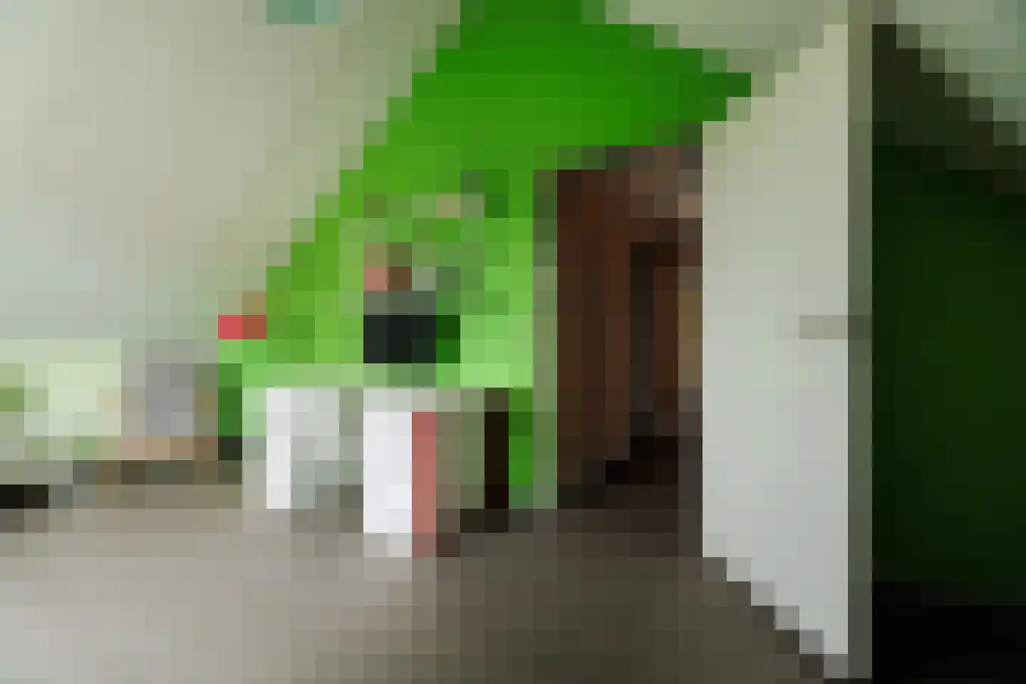 Willemstraat 12 Son en Breugel thumbnail 33