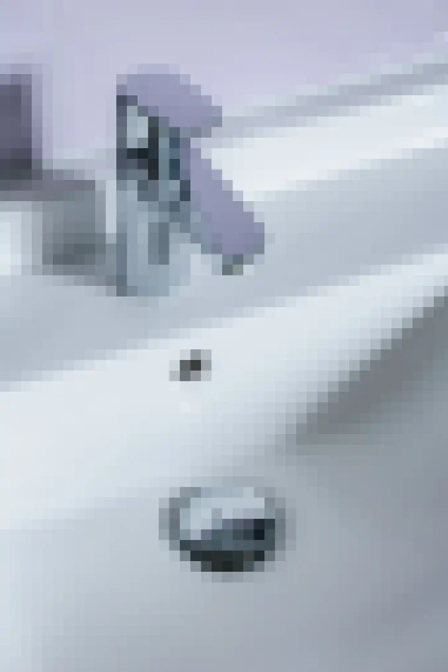 Willemstraat 12 Son en Breugel thumbnail 39