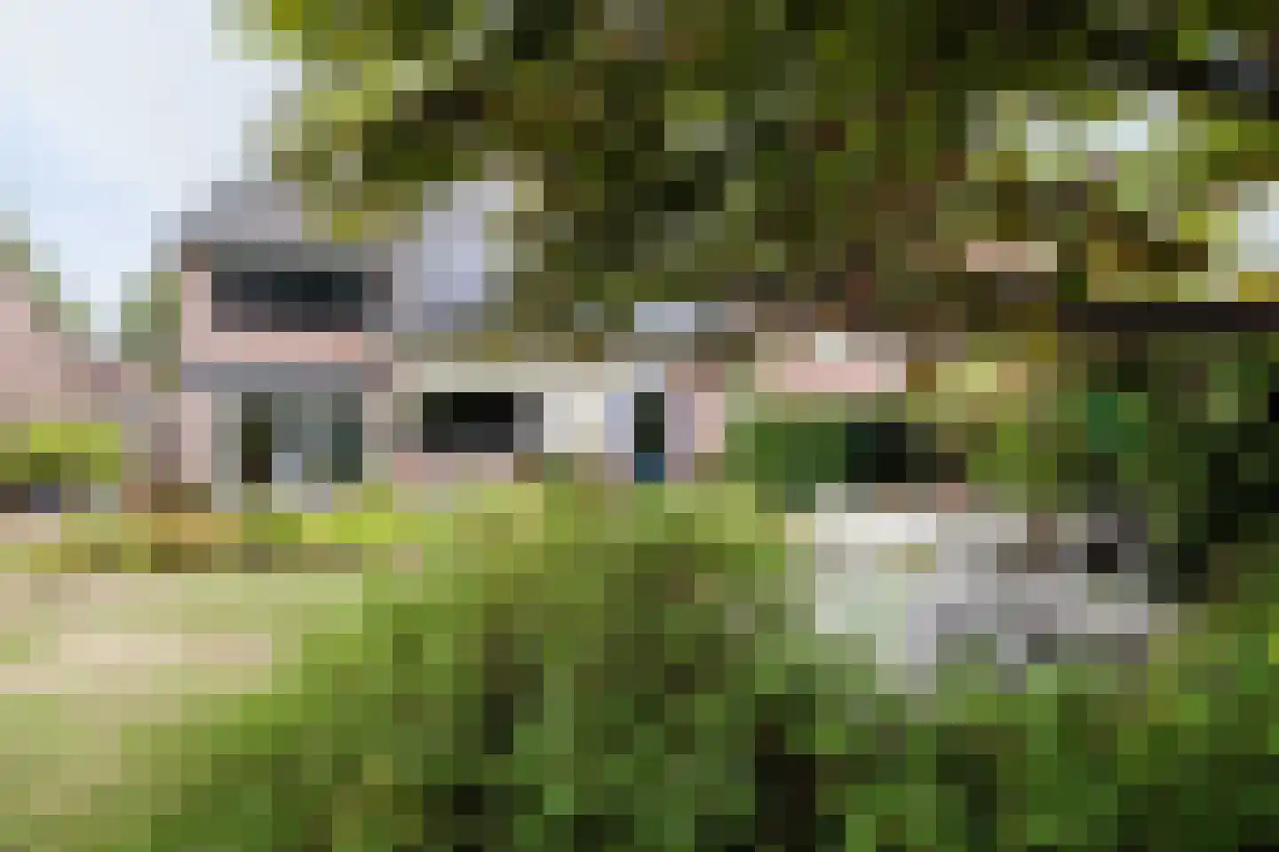 Willemstraat 12 Son en Breugel thumbnail 49