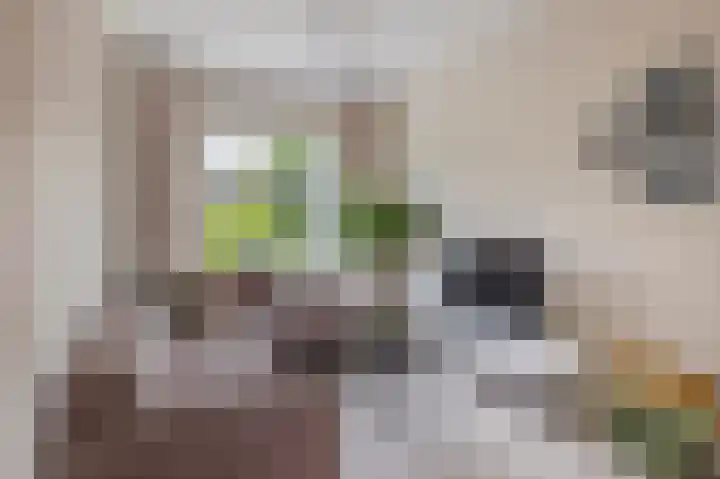 Willemstraat 12 Waalre thumbnail 10