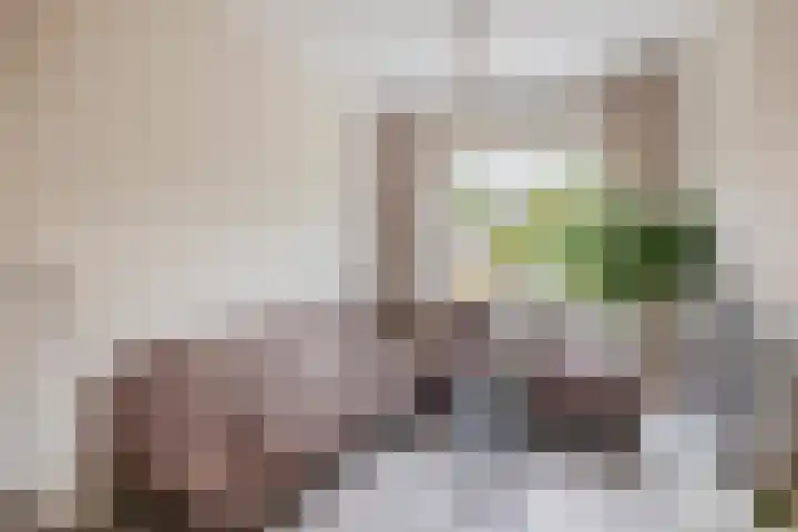 Willemstraat 12 Waalre thumbnail 11
