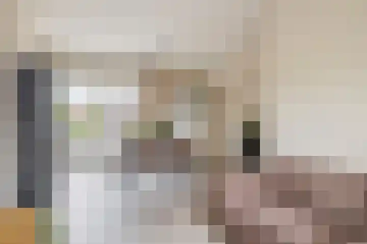 Willemstraat 12 Waalre thumbnail 12