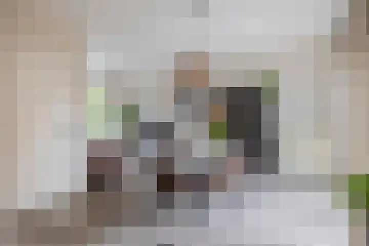 Willemstraat 12 Waalre thumbnail 13