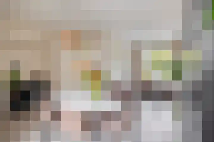 Willemstraat 12 Waalre thumbnail 14