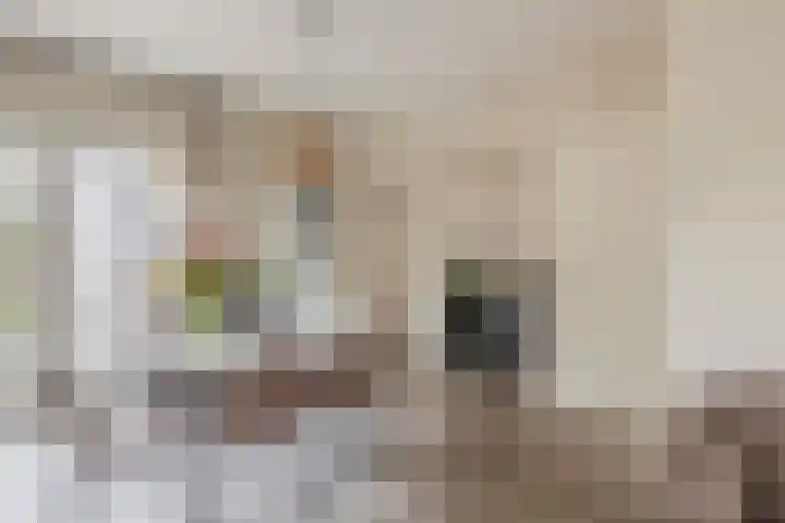 Willemstraat 12 Waalre thumbnail 15
