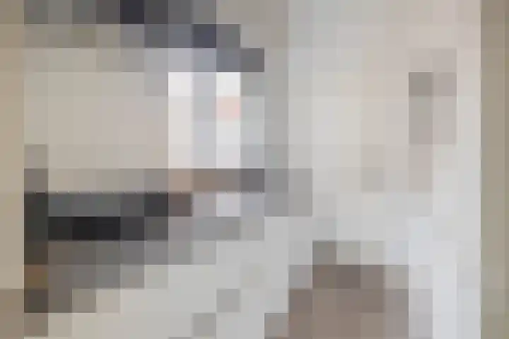 Willemstraat 12 Waalre thumbnail 18