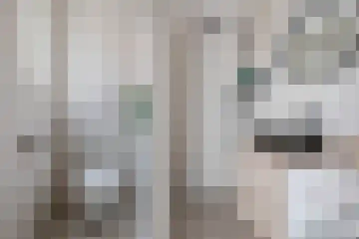 Willemstraat 12 Waalre thumbnail 21