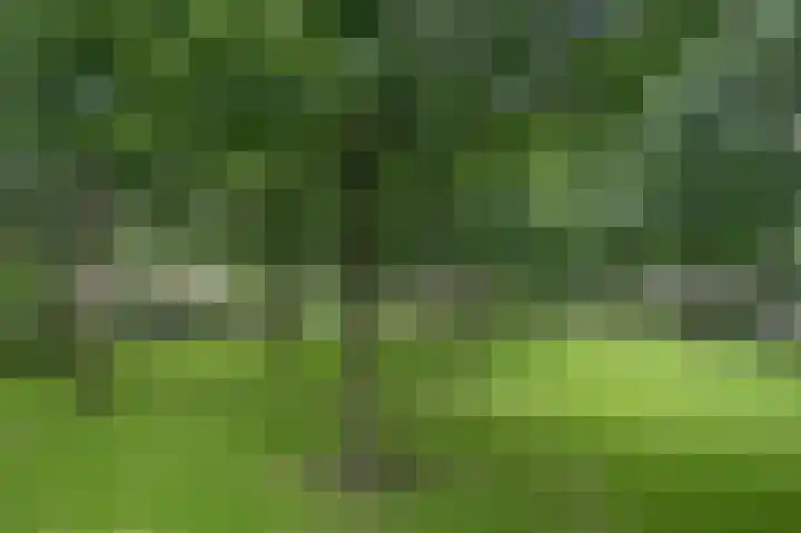 Willemstraat 12 Waalre thumbnail 35