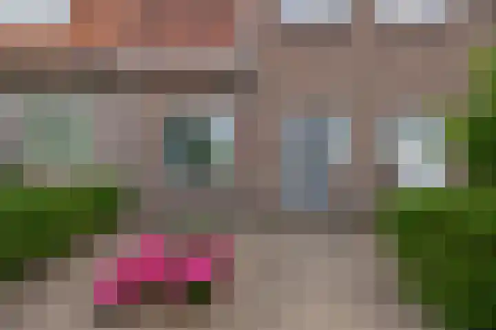 Willemstraat 12 Waalre thumbnail 8