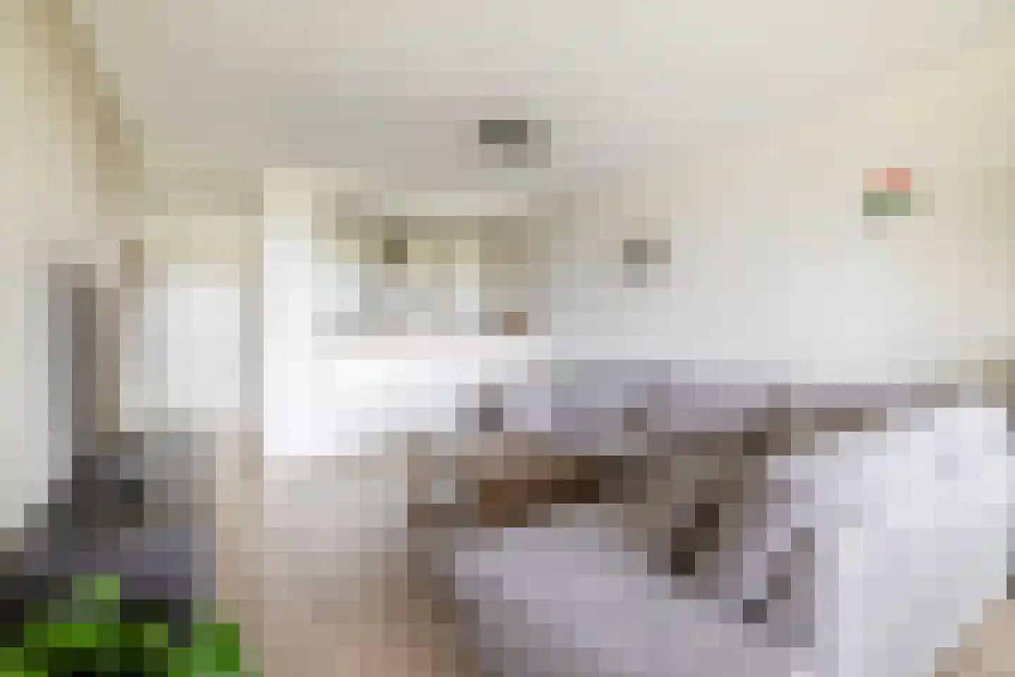 Willemstraat 122 Zoetermeer thumbnail 11