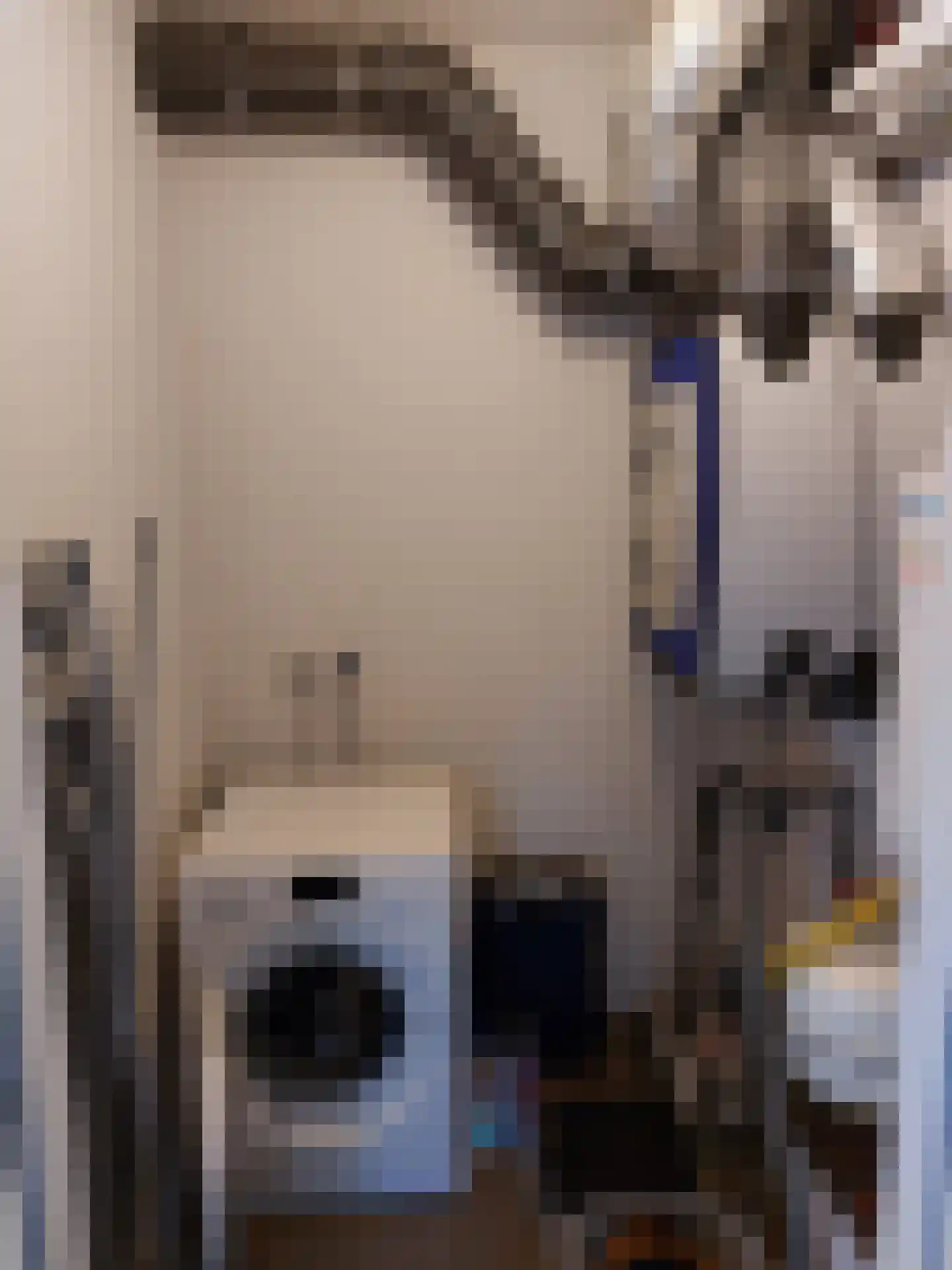 Willemstraat 124 Eindhoven thumbnail 17