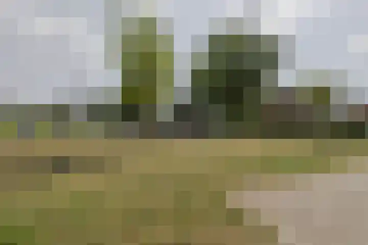 Willemstraat 125 Zoetermeer thumbnail 22