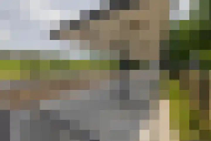 Willemstraat 125 Zoetermeer thumbnail 23