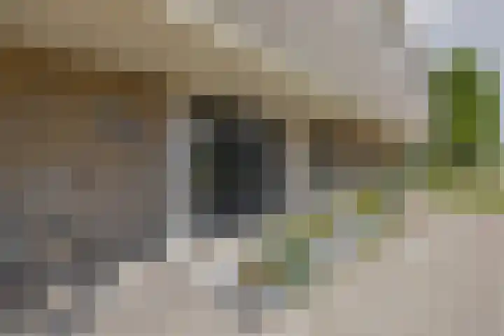 Willemstraat 125 Zoetermeer thumbnail 4