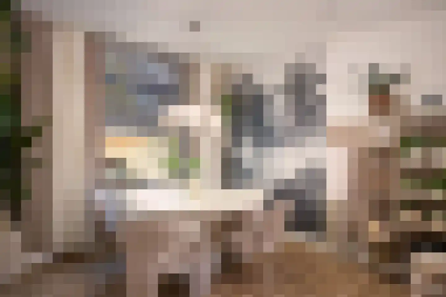 Willemstraat 14 Alphen aan den Rijn thumbnail 12
