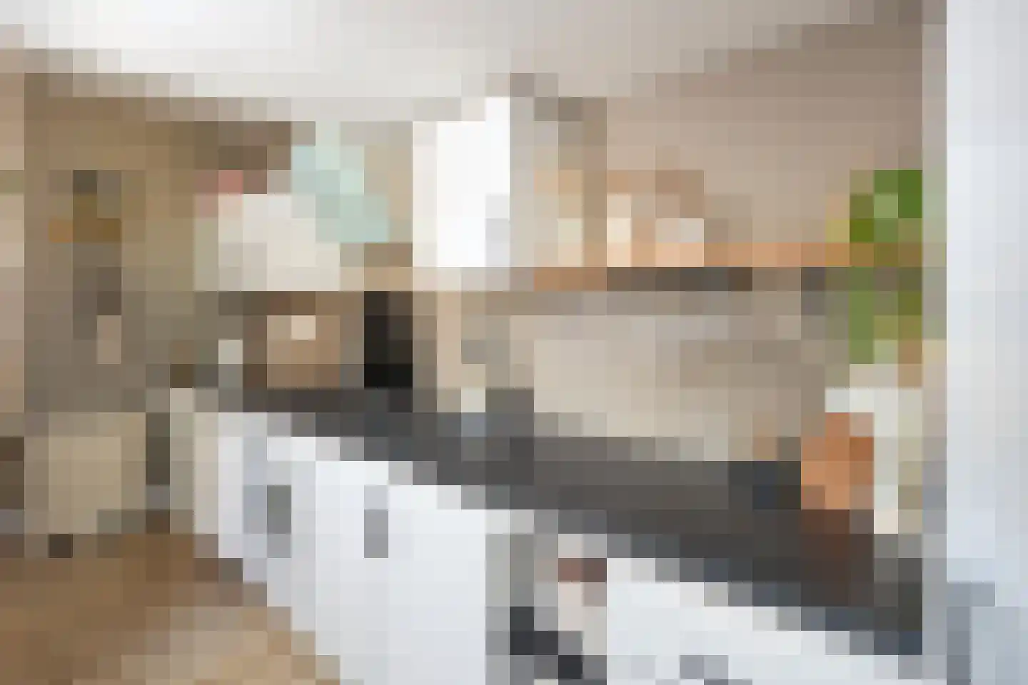 Willemstraat 14 Alphen aan den Rijn thumbnail 16
