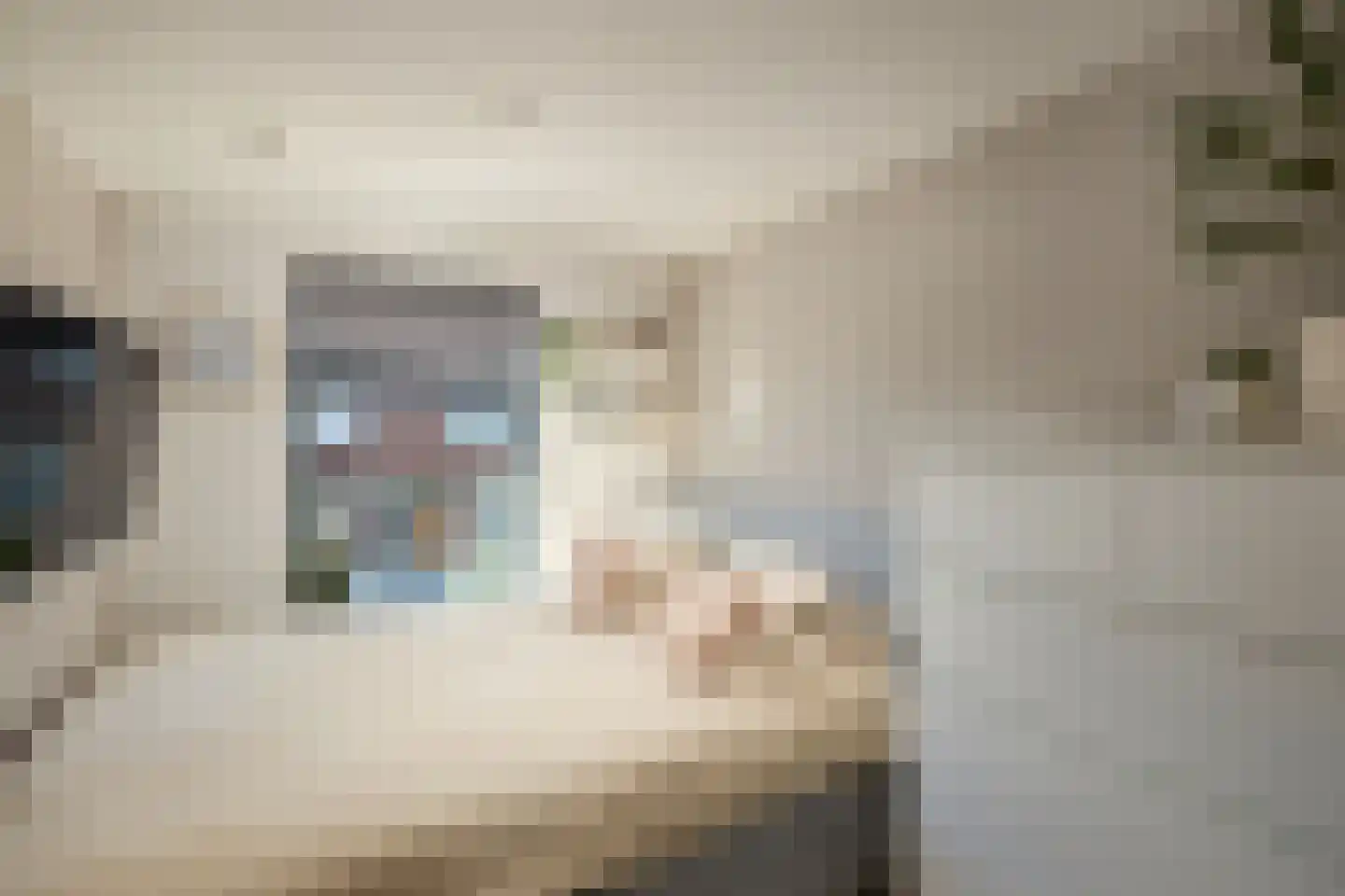 Willemstraat 14 Alphen aan den Rijn thumbnail 20