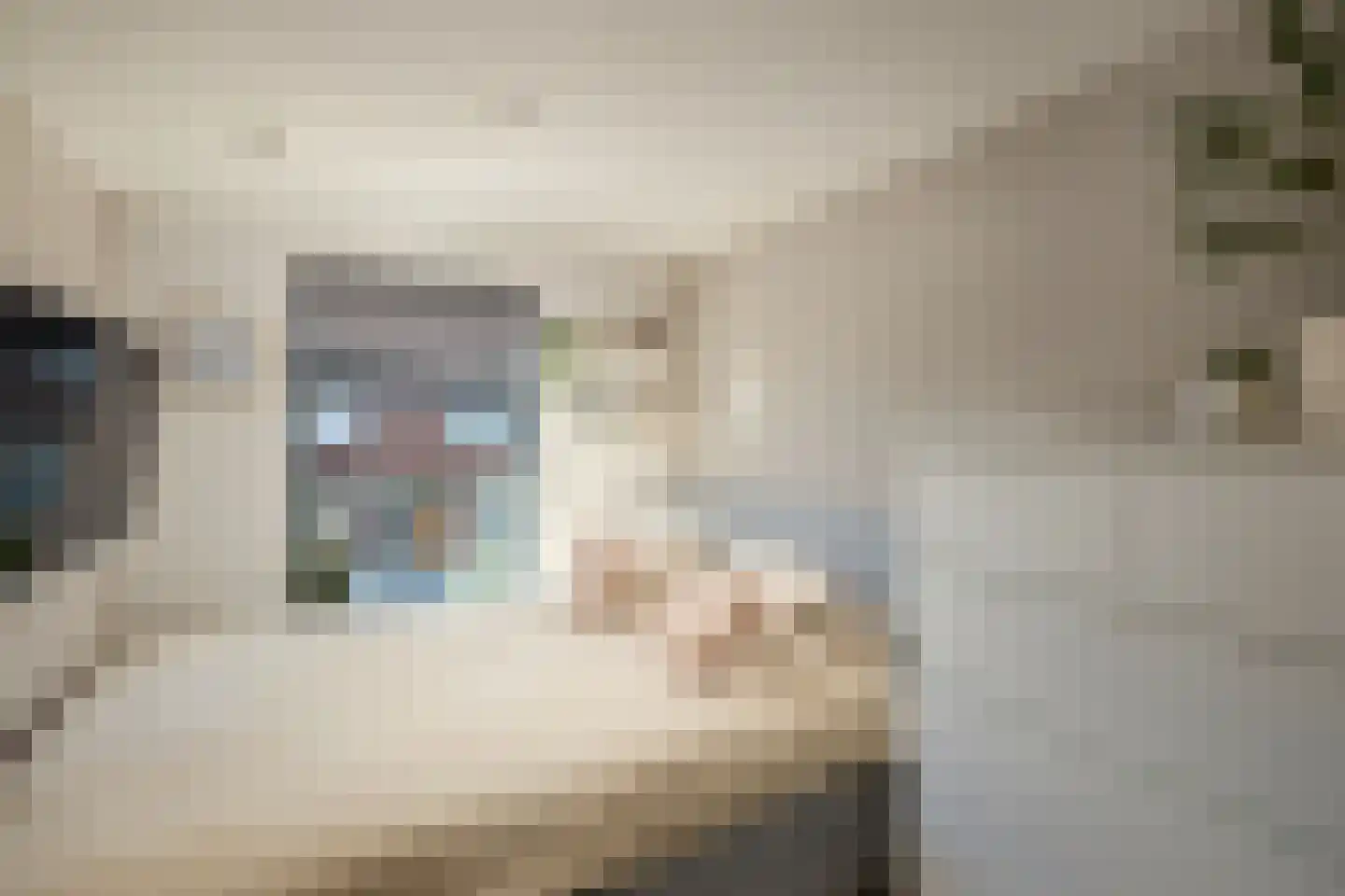 Willemstraat 14 Alphen aan den Rijn thumbnail 20