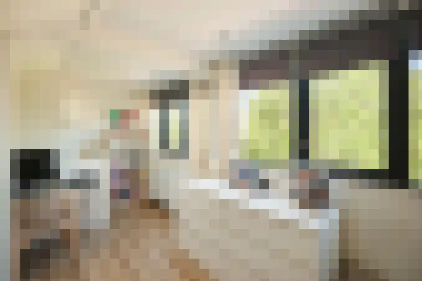 Willemstraat 14 Alphen aan den Rijn thumbnail 28