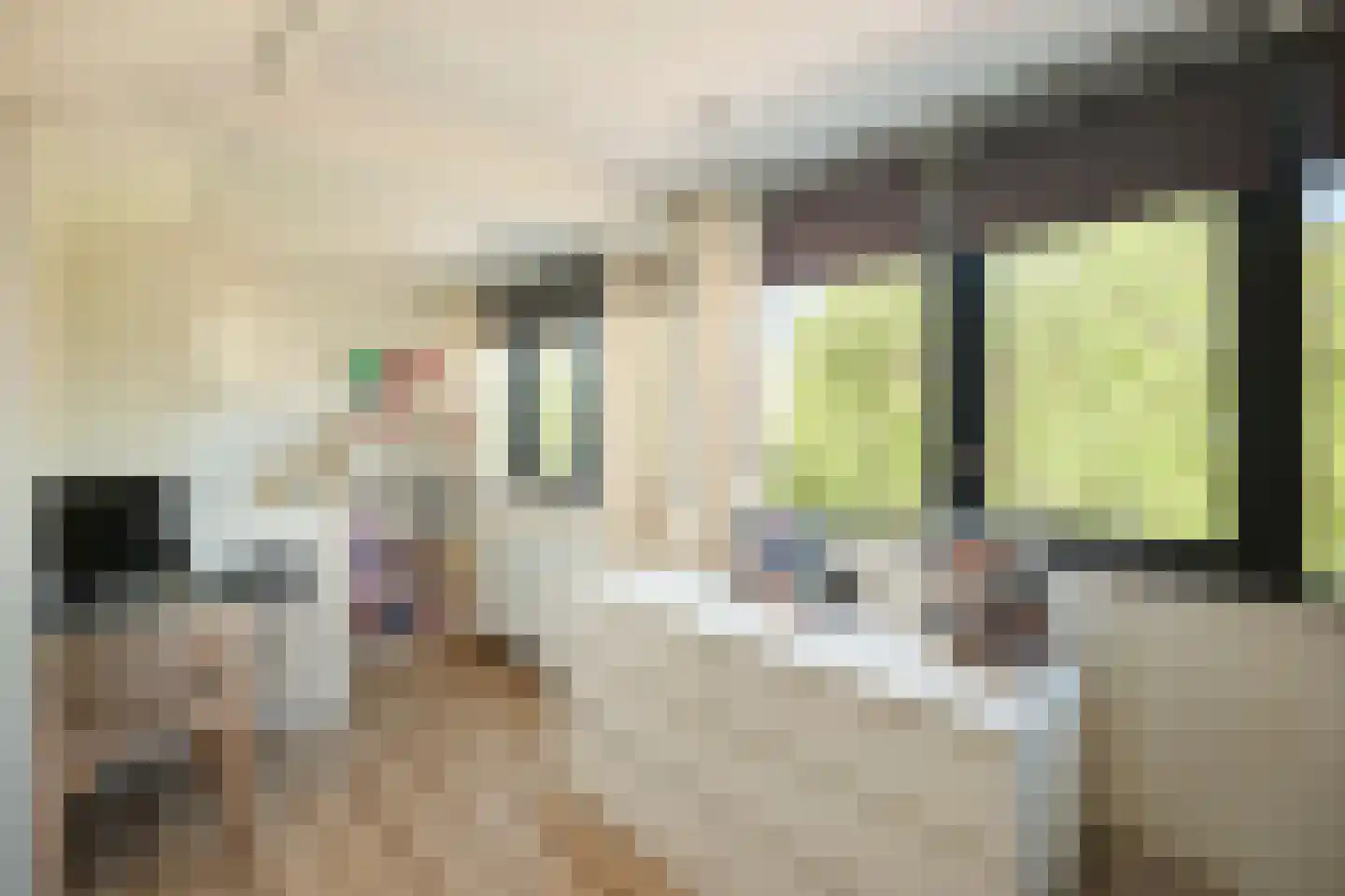 Willemstraat 14 Alphen aan den Rijn thumbnail 28